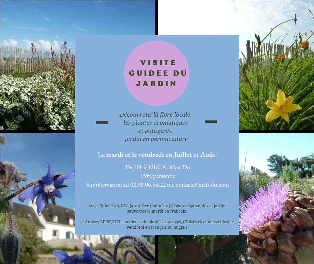 Les visites-ateliers du jardin en juillet /août